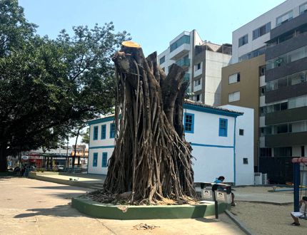 Minha última sombra! Morri assassinada; ouça minha história