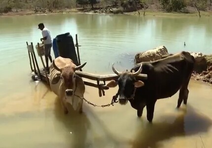Seca intensa coloca 137 cidades do Vale do Jequitinhonha e Norte de Minas em estado de emergência estiagem diamantina