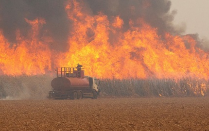 Crise climática histórica atinge Minas Gerais e gera prejuízos bilionários ima