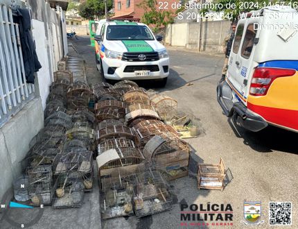 Homem é preso pela PM, em Cláudio, por mante 75 aves silvestres em cativeiro operaççao claudio 2