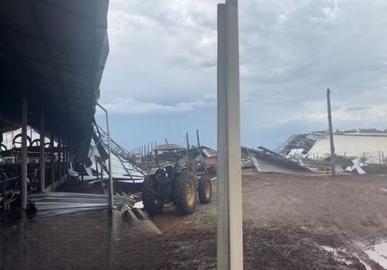 Vendaval em Formiga provoca desabamento de galpões e morte de bovinos