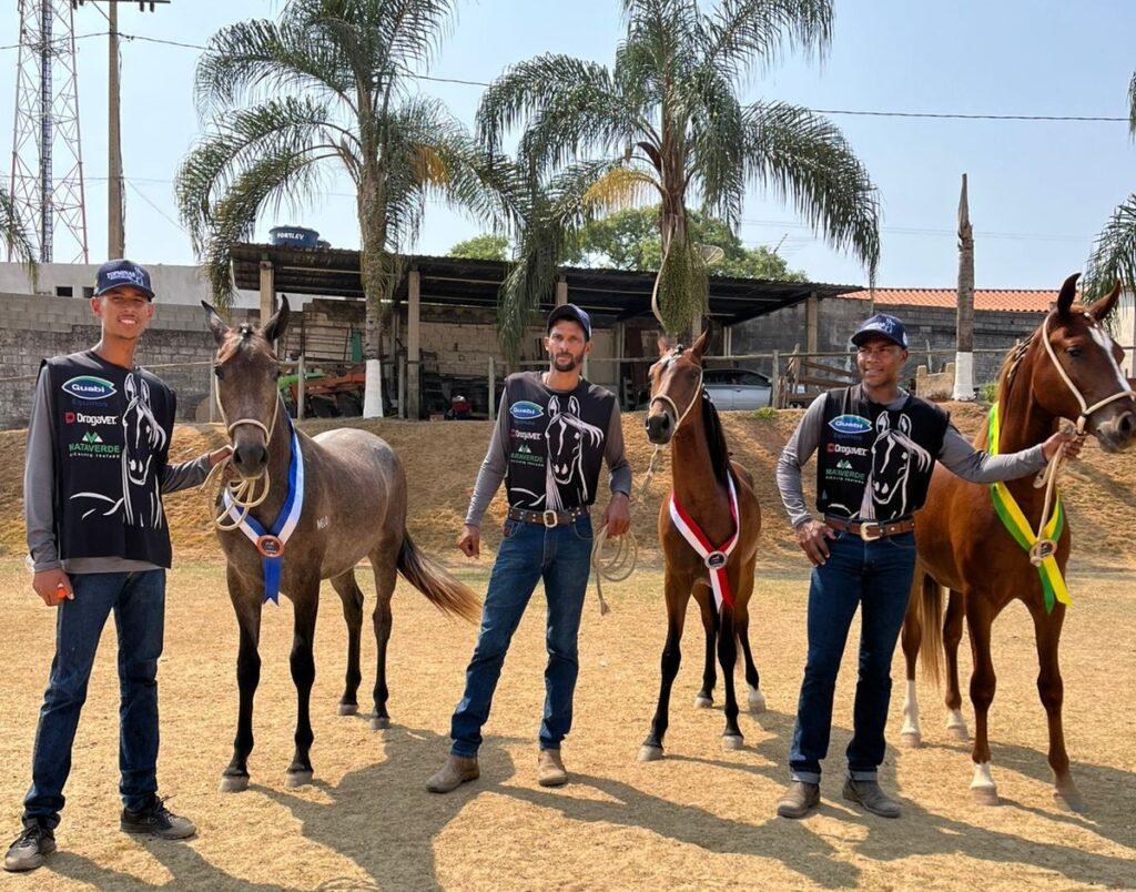 Sindicato Rural promove Exposição do Cavalo Mangalarga Marchador: evento reúne mais de 170 animais e atrai criadores de todo o Brasil WhatsApp Image 2024-10-03 at 10.52.33