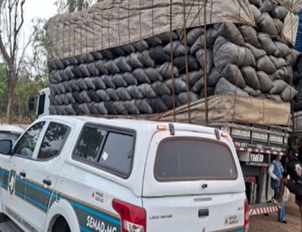 Meio Ambiente apreende 420 metros cúbicos de carvão em operação na Região Metropolitana de Belo Horizonte e aplica multas de cerca de R$ 535 mil carvão 2