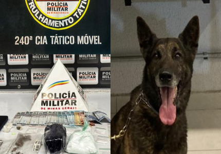 Cão “Black” fareja drogas escondidas em par de tênis e traficante é preso no Planalto
