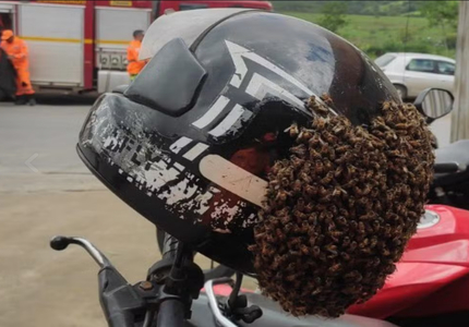 Abelhas 'alugam' capacete e obrigam motociclista a chamar os bombeiros em Formiga IMG_4725