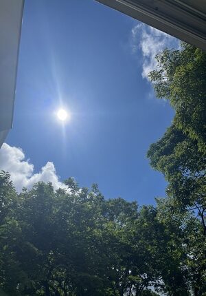 Calor e umidade alta: nesta terça-feira (12), o tempo será de contrastes