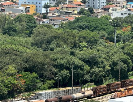 Prefeitura de Divinópolis realiza em dezembro 'Conferência Municipal do Meio Ambiente' para subsidiar a 5ª CNMA meio ambiente