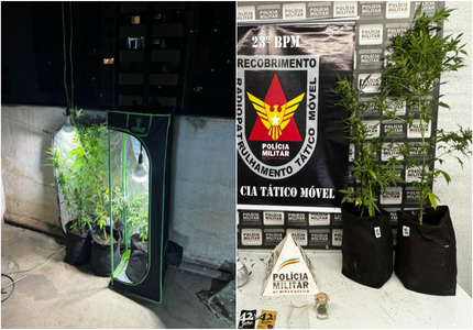 Síndico é preso por cultivar maconha na cobertura de um prédio, no Centro de Divinópolis montagem prédio centro maconha (1)