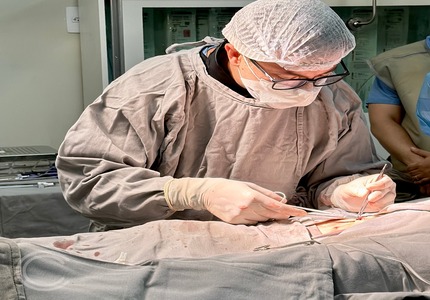 CSSJD oferece descontos em cirurgias que forem realizadas durante dezembro e janeiro de 2025 1000214491