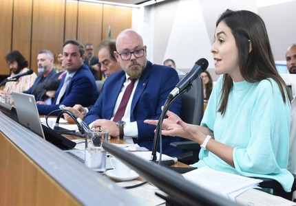 Secretário de Cultura de Minas admite atrasos em editais, após convocação da Deputada Lohanna