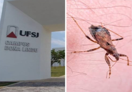 UFSJ lança teste rápido para doença de chagas com resultados em 15 minutos