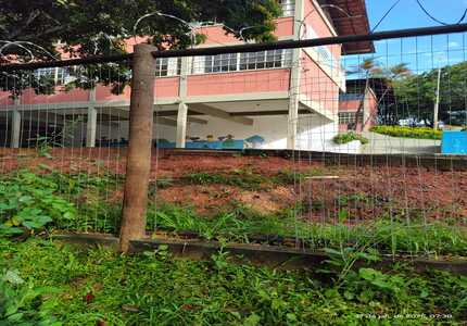 Criminosos tentam invadir escola em Ermida, mas não conseguem levar nada IMG_7993