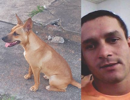 Identificado o homem que soltou pitbulls para matar uma cadela caramelo; em seguida, ele a arremessou contra um muro e depois carbonizou o corpo