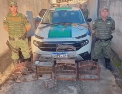 Nova Serrana: Homem é preso e multado por manter pássaros silvestres em cativeiro homem-e-multado-em-quase-r-17-mil-por-manter-passaros-silvestres-em-cativeiro-e-posse-ilegal-de-arma (1)