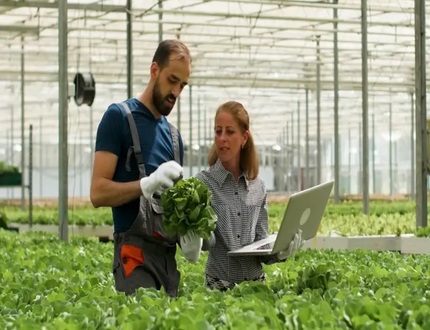 Sebrae Minas abre inscrições para o Programa ALI Rural com Bolsa de R$ 5 mil para profissionais de nível superior sebrae (1)