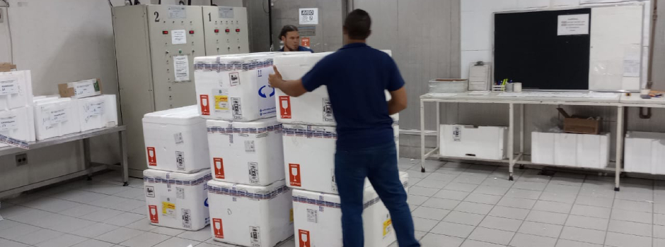640 mil doses de vacina contra influenza começam a ser distribuídas para os municípios mineiros