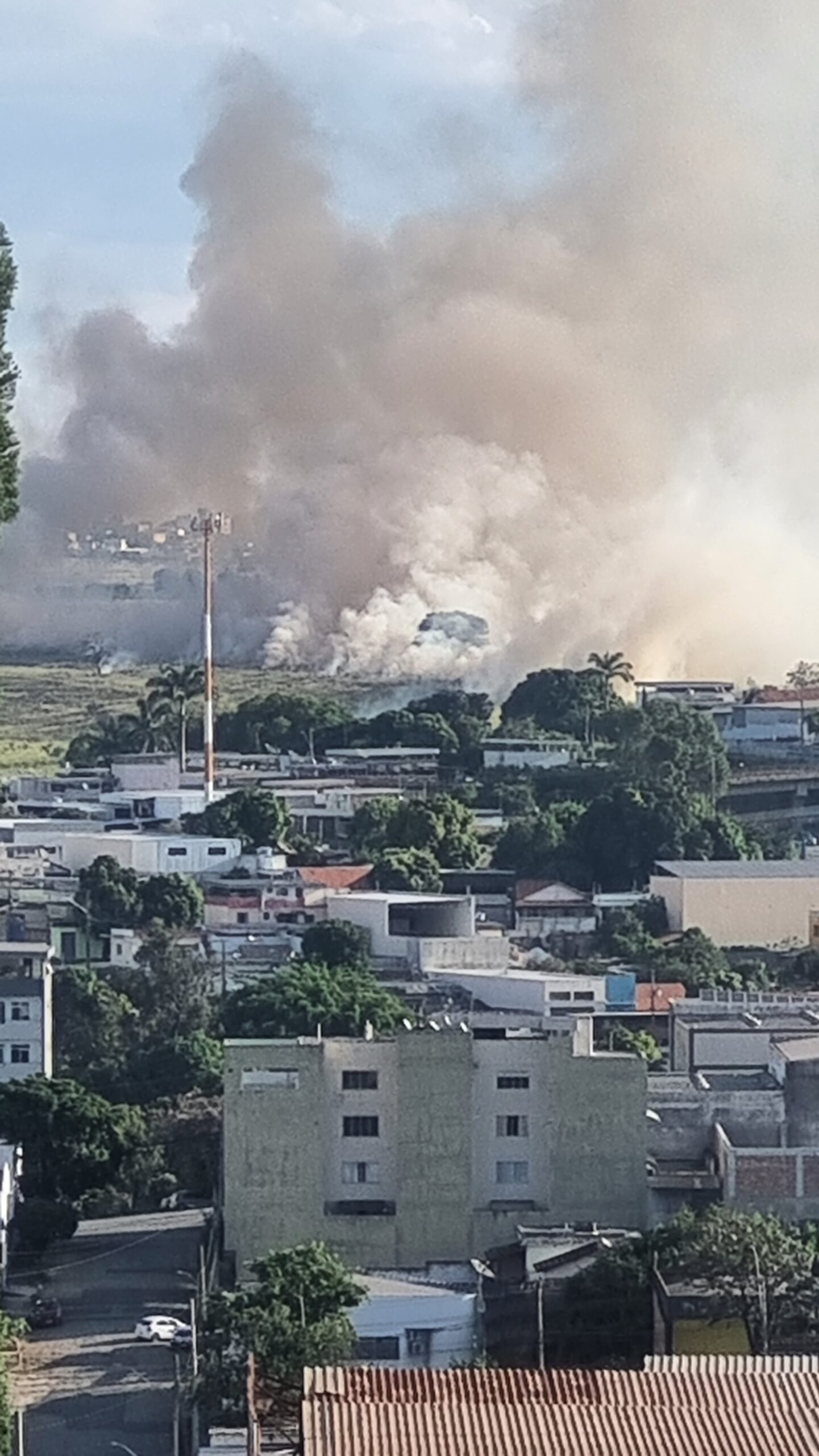 Aumento de incêndios florestais no Centro-Oeste de Minas preocupa bombeiros