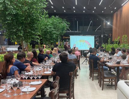 Experiência sensorial: Mostra de Queijos e Vinhos transforma loja do ABC PLUS em palco de sofisticação e sabor