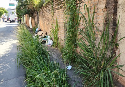 Mato alto e lixo no passeio retratam descaso no bairro Afonso Pena, em Divinópolis capa site rua são sebastião bairro afonso pena divinópolis 28-04-2025