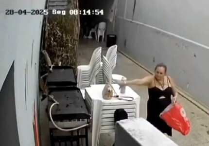 "Receba essa oferenda, ó Senhora": Mulher furta bolsa na Igreja São Judas Tadeu igreja são judas tadeu furto (1)