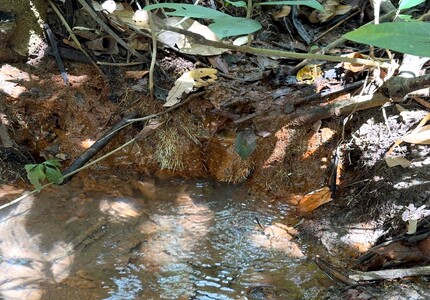 Curso de recuperação de nascentes é realizado em Divinópolis, pelo Sindicato Rural e FAEMG/SENAR sindicato 3 (1)