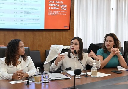 Justiça condena a 12 anos de prisão, autor de ameaças a deputadas mineiras deputadas mineiras almg (1)