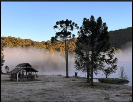 Frio intenso e geada em Minas Gerais: Defesa civil alerta população até domingo monte verde (1) site