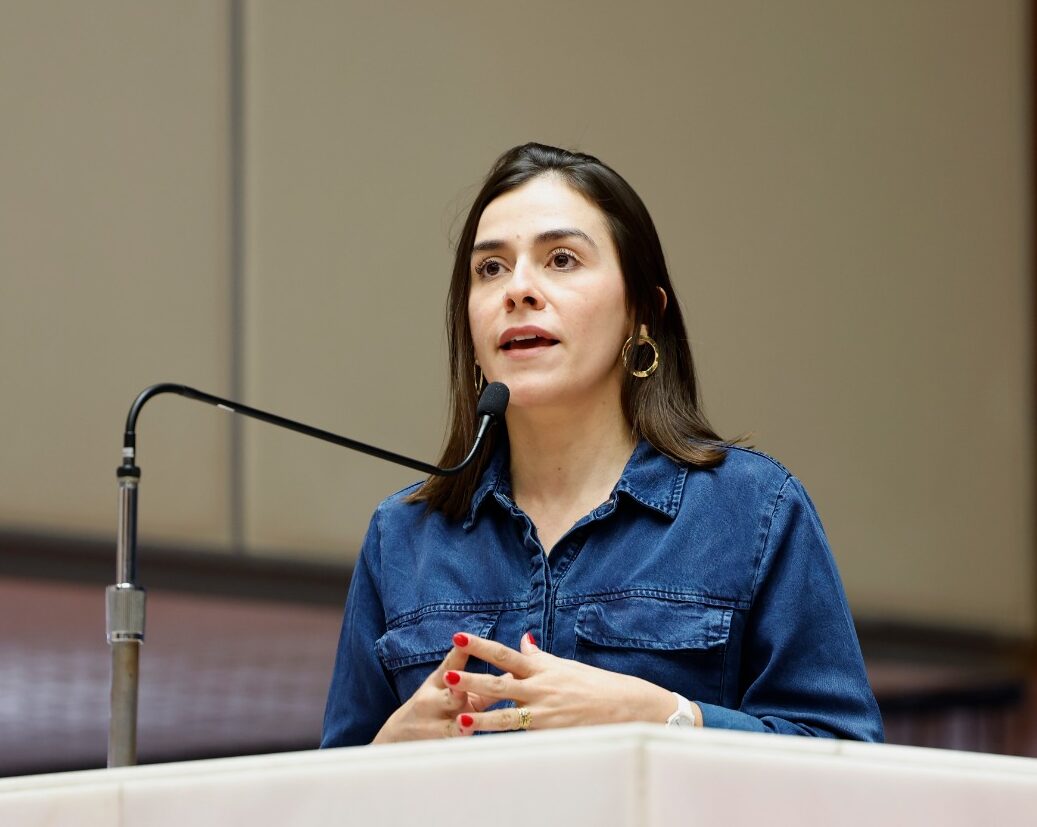 Deputada Lohanna França conquista aprovação de importantes emendas na LDO para 2026
