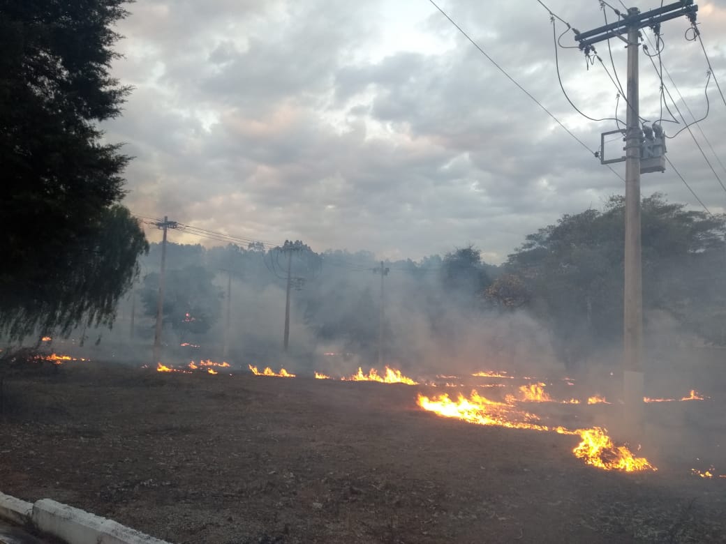 Tecnologia da Cemig detecta focos de calor e impede apagões em 774 cidades de Minas Gerais