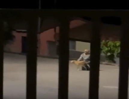 Crueldade sem limites vídeo nojento expõe homem abusando de cachorro em Minas