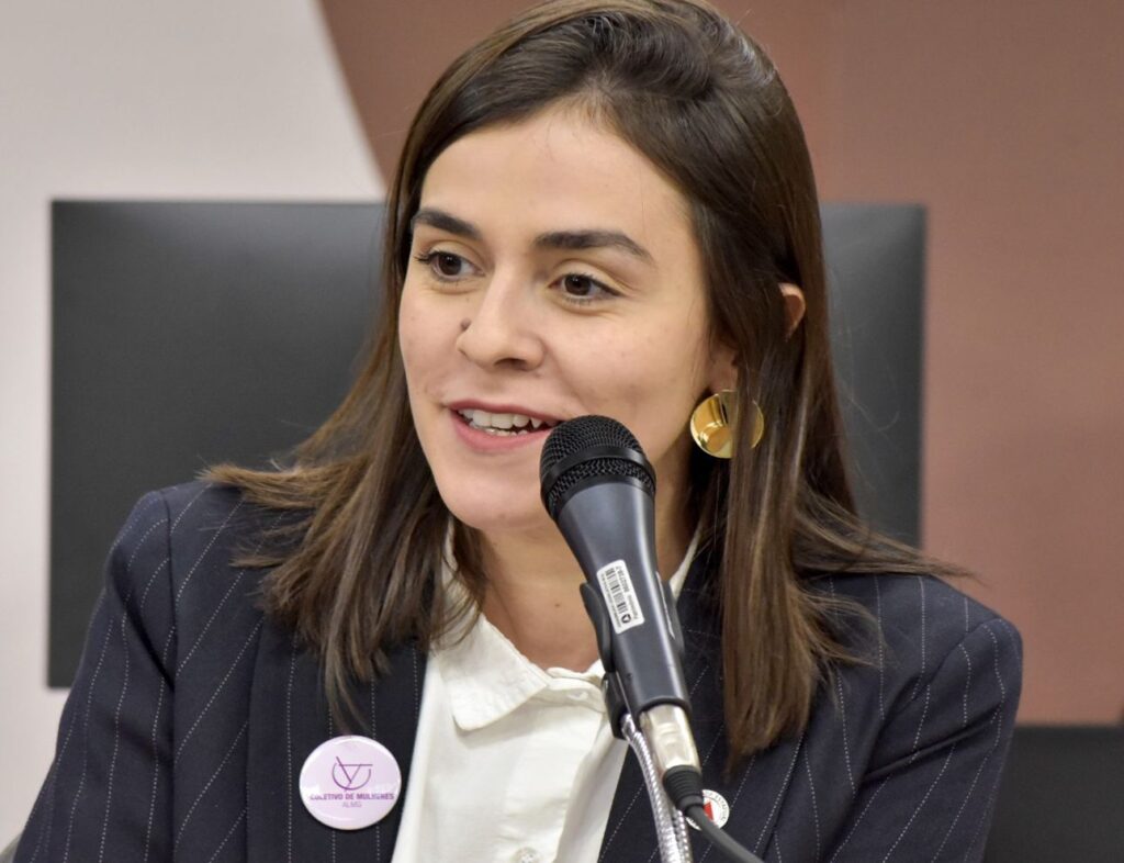 Agosto dourado: bancada feminina apresenta projeto histórico de passe livre intermunicipal para lactantes e doadoras de leite em Minas Lohanna Bancada