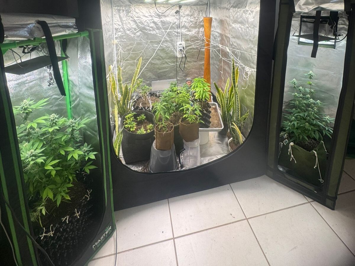 Polícia desmantela laboratório de drogas no Bairro Realengo