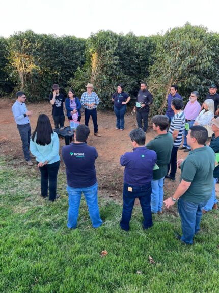 BDMG abre inscrições para capacitação que une pecuária, inovação e sustentabilidade em Minas
