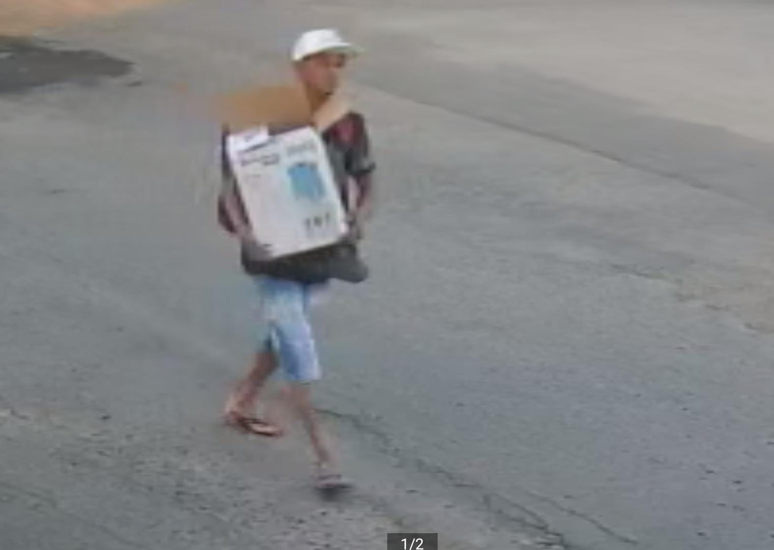 Crueldade em Divinópolis: homem abandona quatro filhotes no Santa Lúcia e revolta moradores