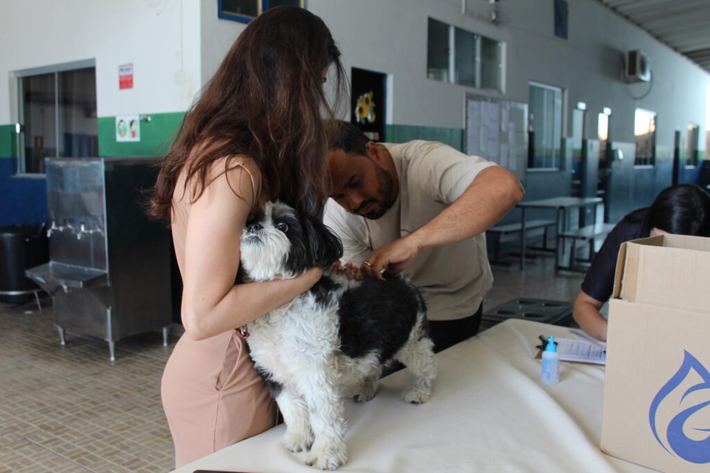 Prefeitura de Nova Serrana mantém vacinação antirrábica gratuita para cães e gatos Vacinação 01