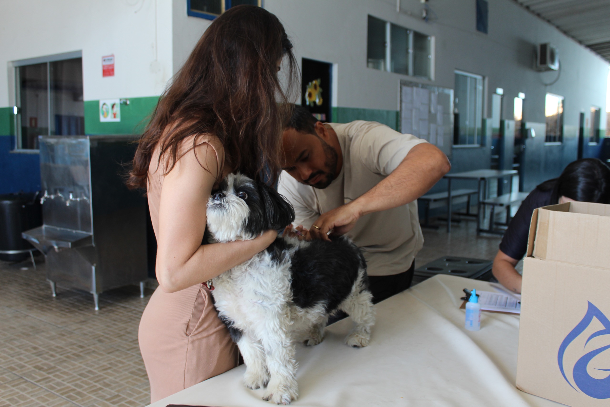 Prefeitura de Nova Serrana mantém vacinação antirrábica gratuita para cães e gatos