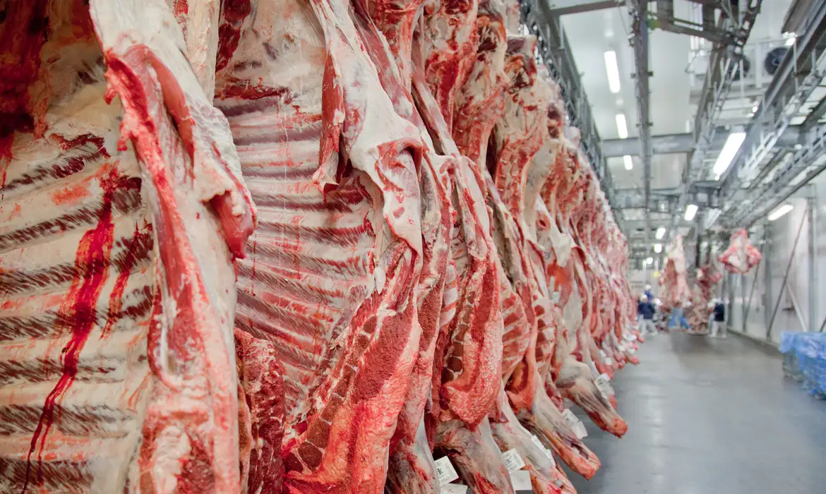 Mesmo com imposto alto dos EUA, Brasil quebra recorde e lidera exportação de carne bovina
