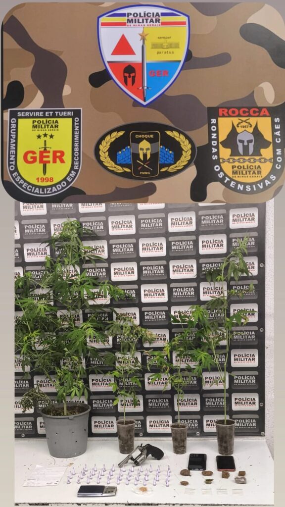 PM apreende “pés de maconha”, cocaína e arma de fogo em ação contra o tráfico Imagem do WhatsApp de 2025-11-13 à(s) 10.50.21_a92db9d8