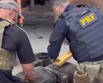 Mais de 1,3 tonelada de maconha é apreendida na BR-262 durante operação conjunta em Bom Despacho