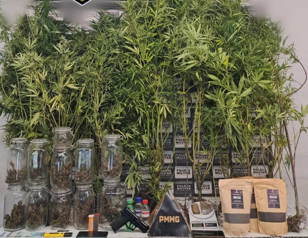 Plantação de maconha “gourmet” é localizada pela PM em matagal no bairro Nova Fortaleza, em Divinópolis WhatsApp Image 2026-01-21 at 11.55.39
