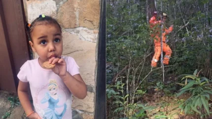 APELO DE MÃE: Buscas por menina autista desaparecida em Minas Gerais entram no segundo dia com uso de drones e cães farejadores