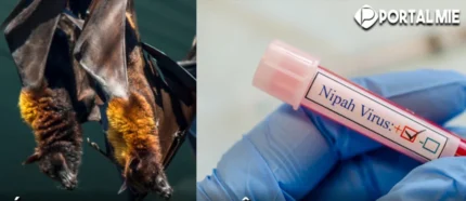 Surto do vírus Nipah deixa Índia em alerta e acende sinal vermelho em aeroportos da Ásia