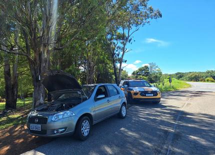 Polícia Rodoviária prende motorista por adulteração de placa na BR-354 em Formiga xh8bf4gbf6qex0nbmm0_jw-jpg