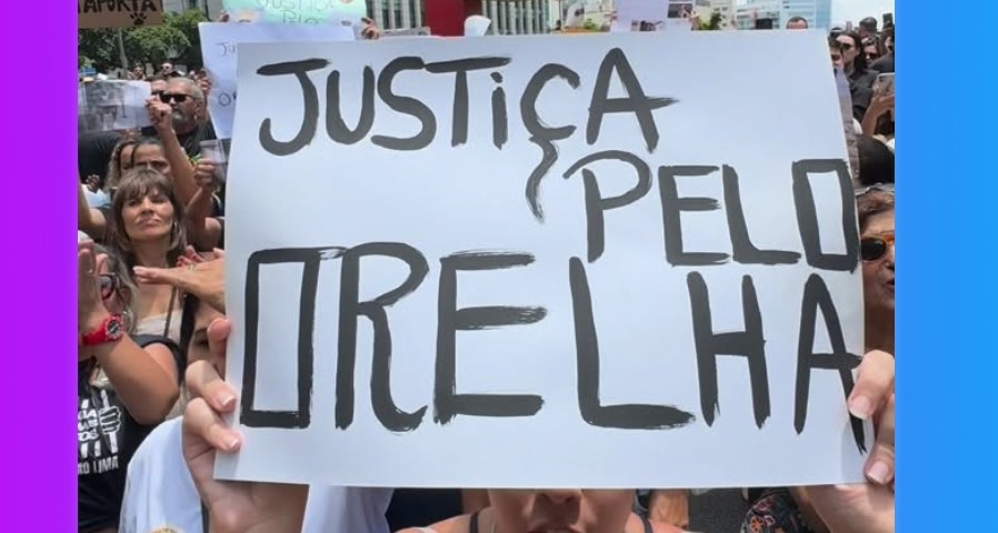 Protestos pelo Brasil pedem justiça pela morte do cão Orelha; Paulista e BH têm atos em massa