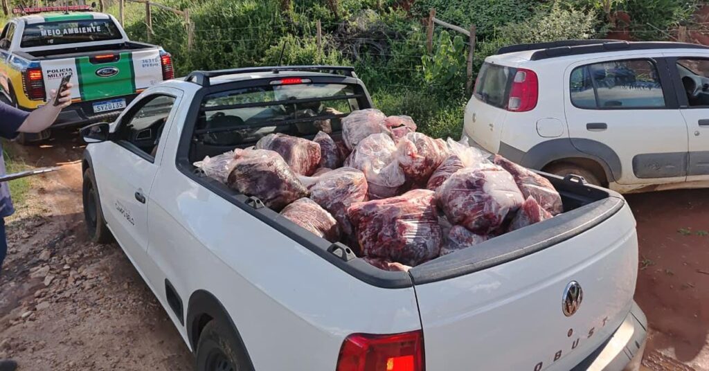 Polícia Militar apreende 800 kg de carne de abate clandestino em Campo Belo; autor é reincidente e segue foragido WhatsApp Image 2026-02-06 at 10.13.07