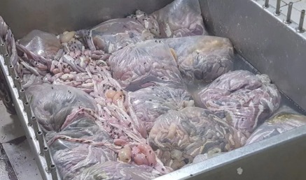PM interdita fábrica de linguiça em Divinópolis após encontrar carne armazenada de forma irregular
