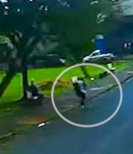 Câmera registra momento em que mulher sobrevive após ser atingida por árvore de grande porte enquanto caminhava