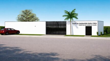 Fim das ruas? Carmo do Cajuru levanta ‘Casa de Passagem’ para salvar cães abandonados