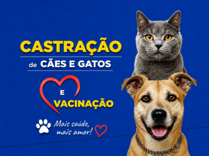 Saúde animal: Itaúna terá maior mutirão de castração e vacinação da história da cidade