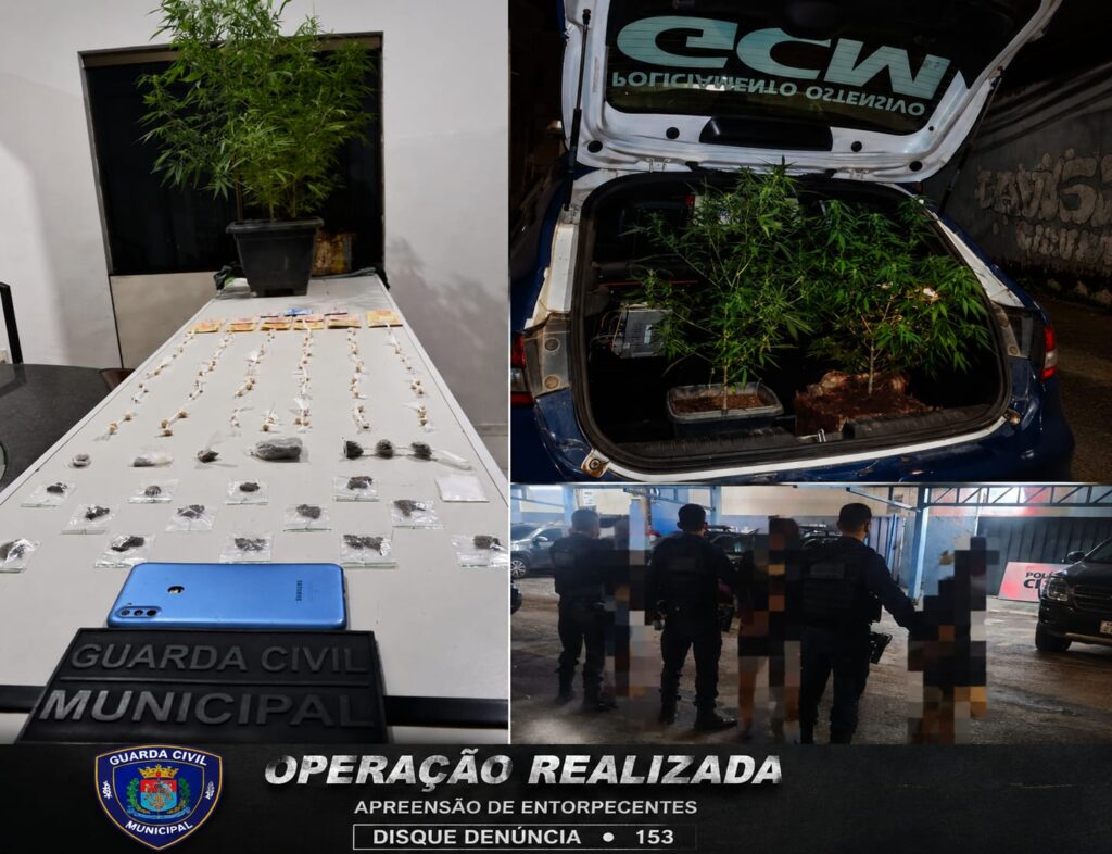 Quase 100 pedras de crack e pés de maconha: operação da Guarda Municipal termina com três conduzidos em Nova Serrana WhatsApp Image 2026-05-21 at 13.50.42